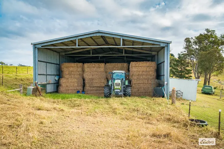 Seventh view of Homely rural property listing, 434 Peak Hill Road, Buckajo NSW 2550