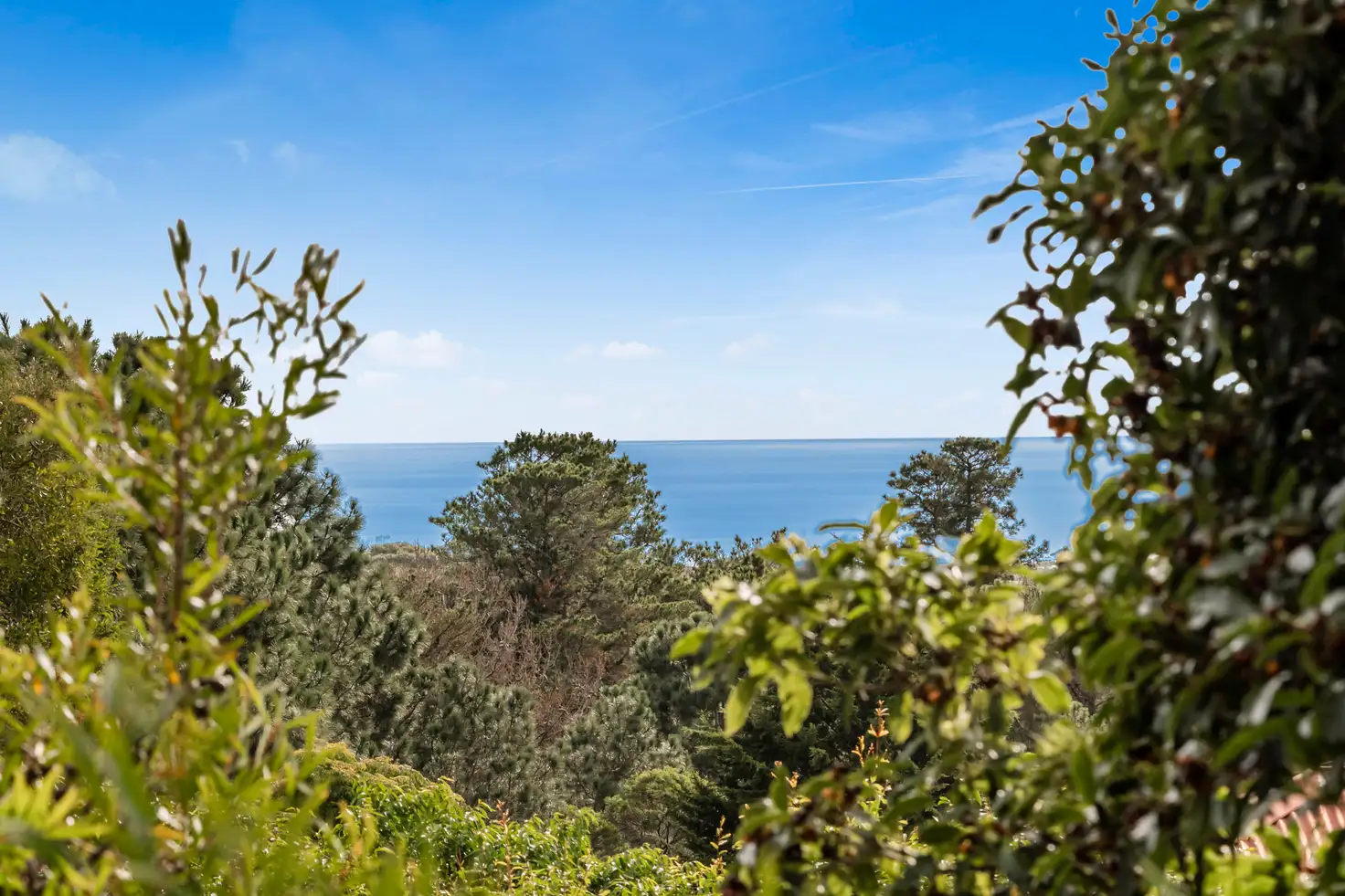 Main view of Homely house listing, 5 Cornwall Crescent, Mount Martha VIC 3934