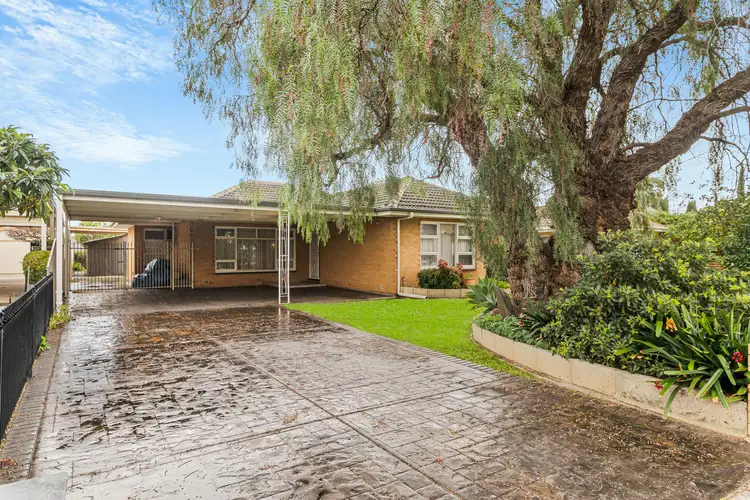82 Finniss Street, Oaklands Park SA 5046