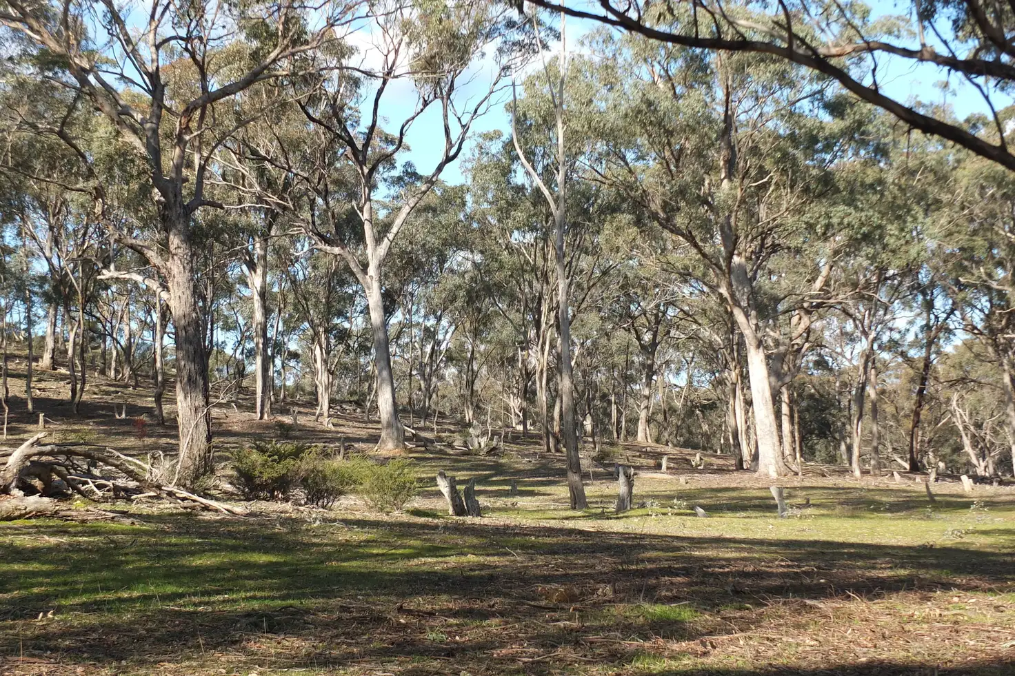 Main view of Homely rural property listing, CA22C,22D, Pyrenees Highway, Bung Bong VIC 3465