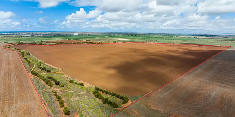 Third view of Homely rural property listing, 98 Harvey Well Road, Tumby Bay SA 5605