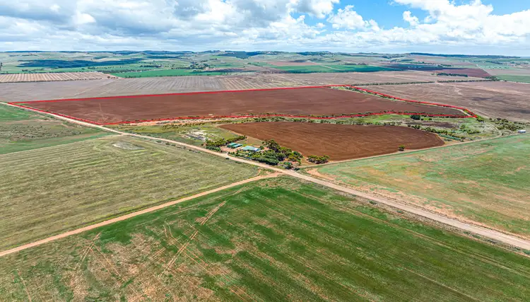 Fourth view of Homely rural property listing, 98 Harvey Well Road, Tumby Bay SA 5605