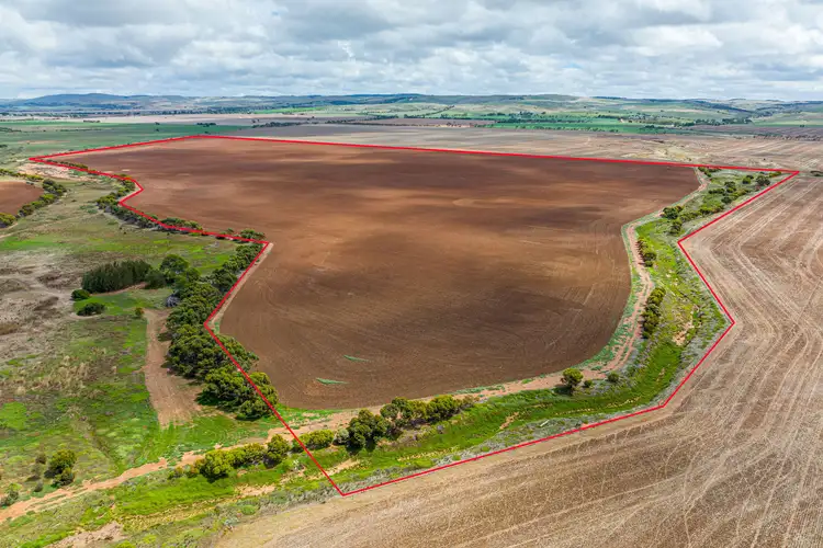 Fifth view of Homely rural property listing, 98 Harvey Well Road, Tumby Bay SA 5605
