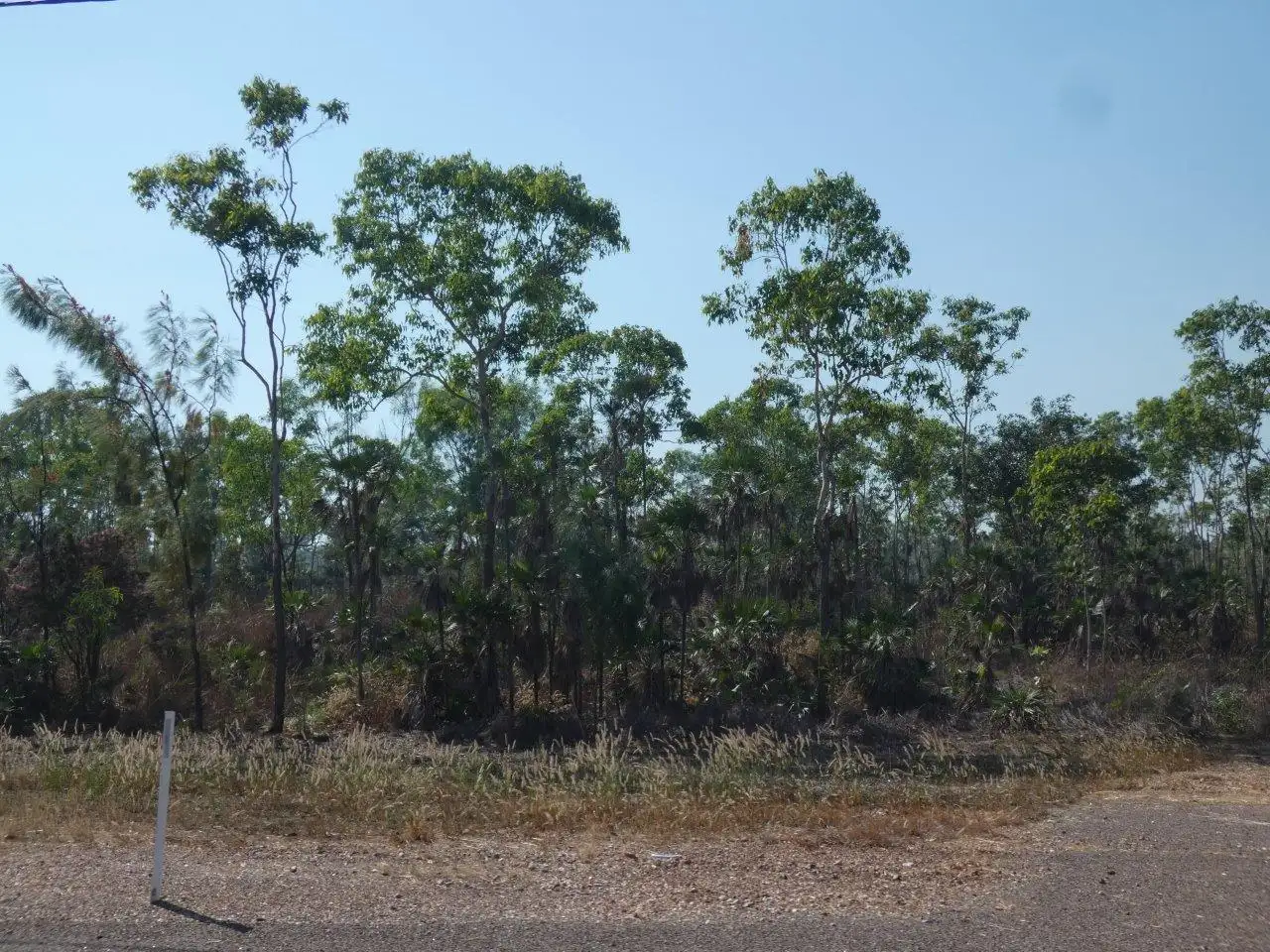 Main view of Homely land listing, 14 Mielang Road, Blackmore NT 822