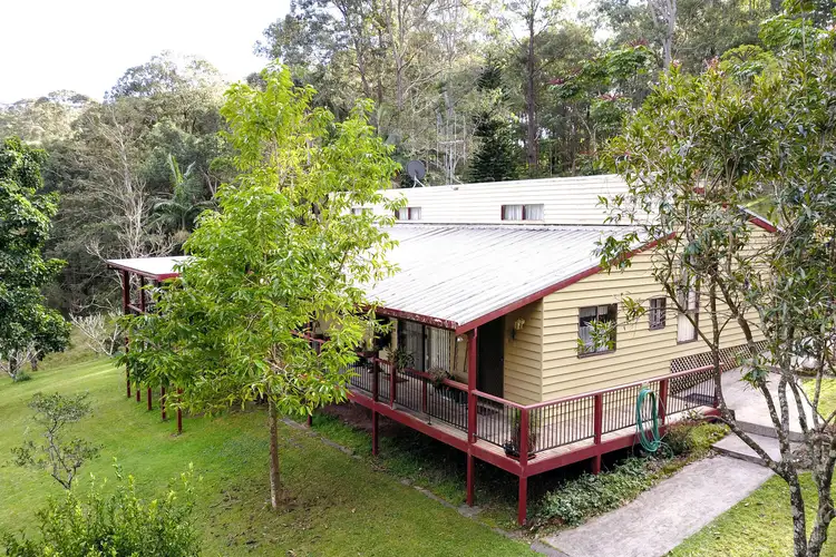 Second view of Homely rural property listing, 586 Minimbah Road, Minimbah NSW 2312
