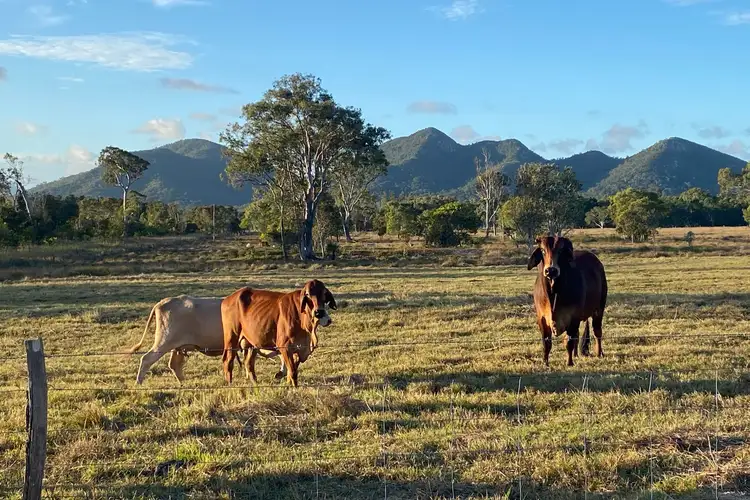 LOT 1 Williams Road, Bungundarra QLD 4703