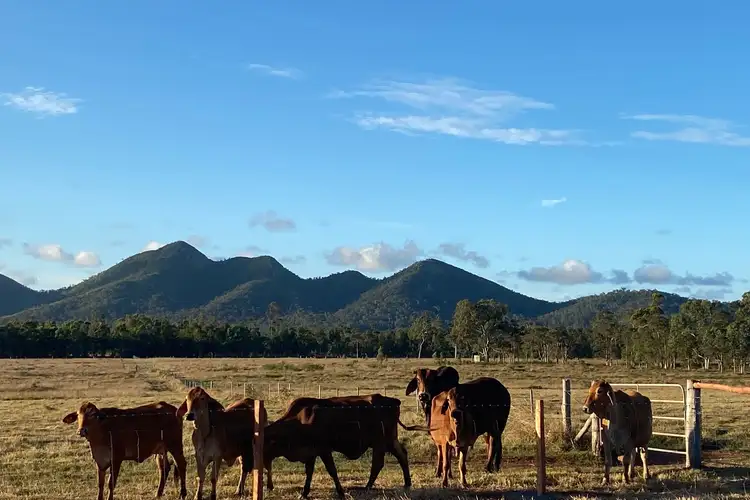 Third view of Homely rural property listing, LOT 1 Williams Road, Bungundarra QLD 4703