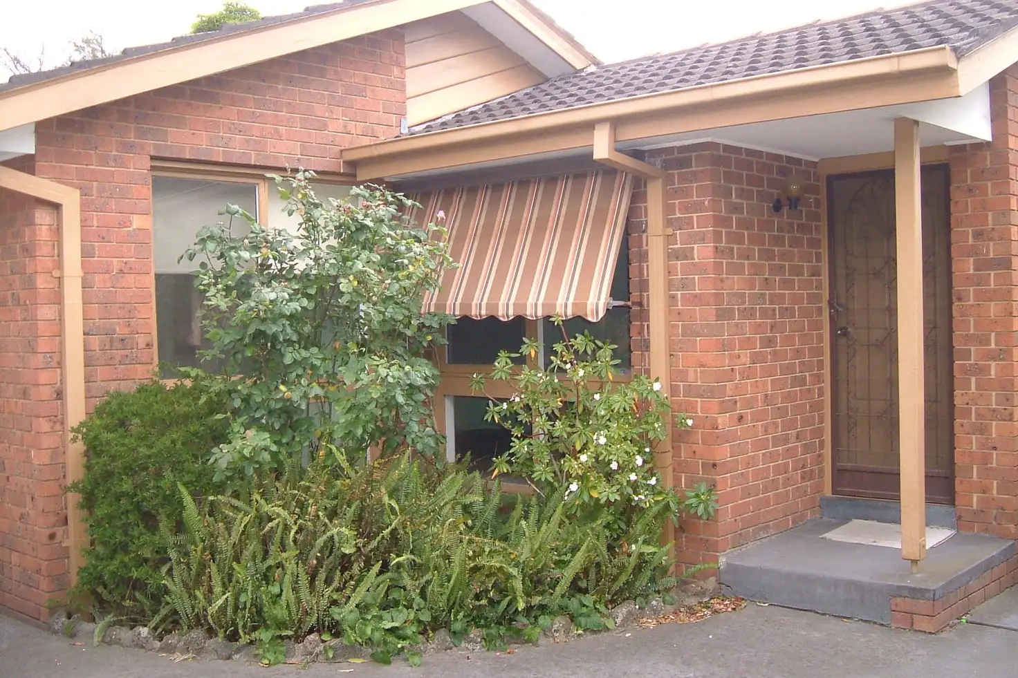 Main view of Homely unit listing, 3/386 Elgar Road, Box Hill VIC 3128