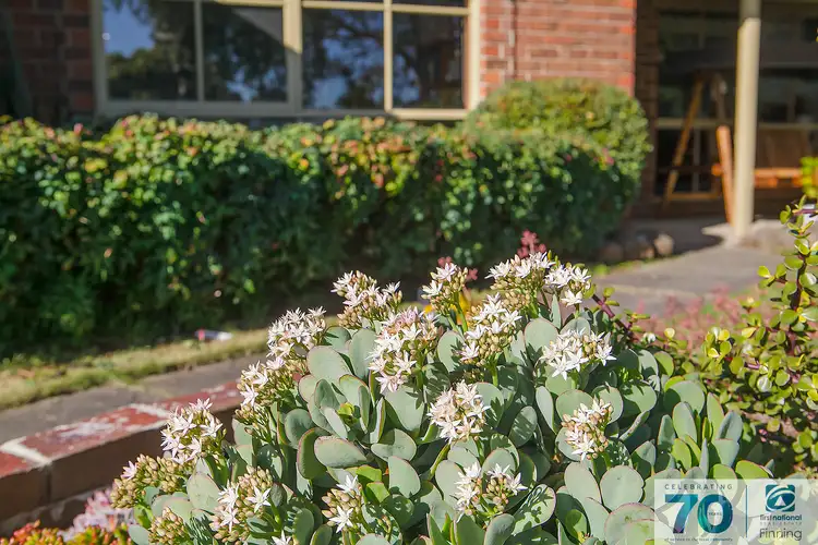 Third view of Homely house listing, 9 Laggan Court, Endeavour Hills VIC 3802
