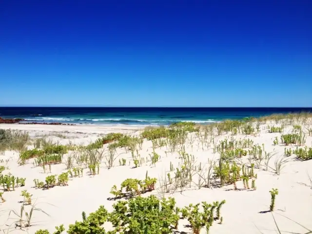 Seventh view of Homely land listing, 6 North Terrace, Cowell SA 5602