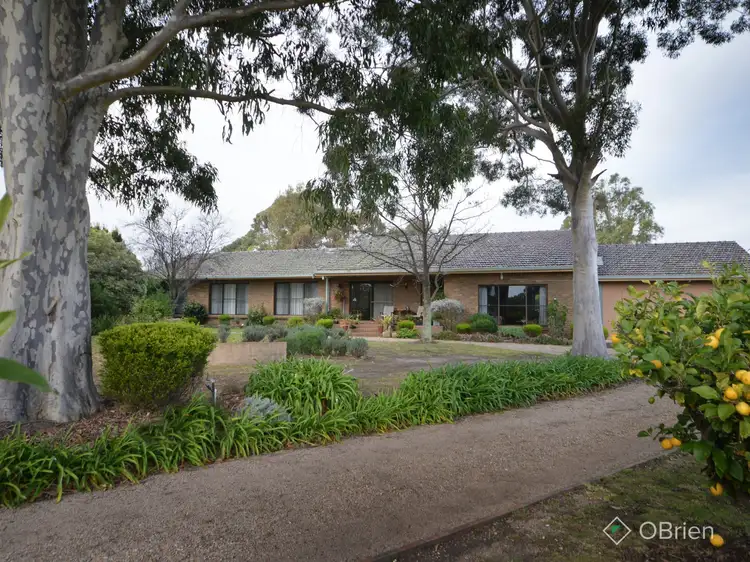Main view of Homely house listing, 45 Dooley Street, Wy Yung VIC 3875
