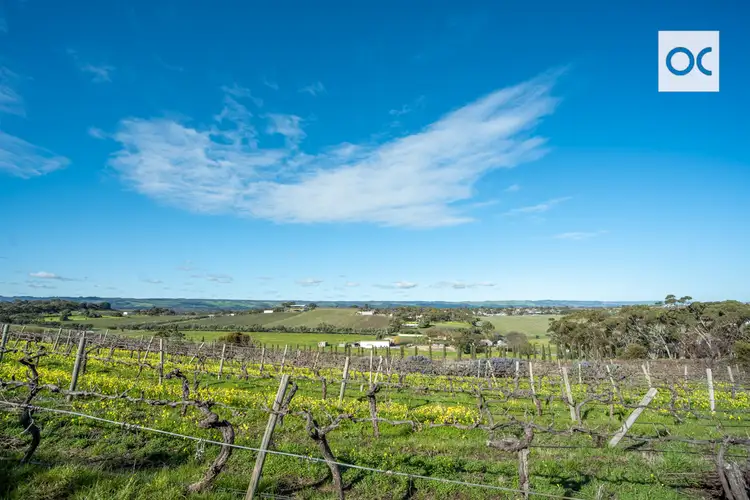 Fifth view of Homely house listing, 44 Olivers Road, Mclaren Vale SA 5171