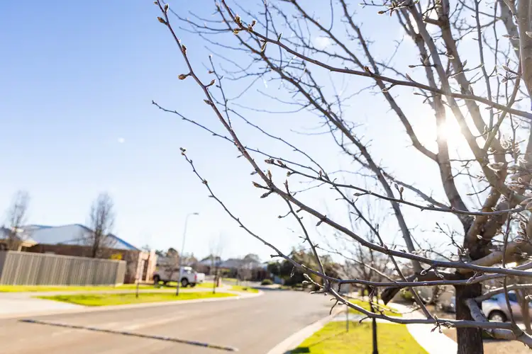 Fourth view of Homely land listing, LOT 34 Ambassador Estate Extension, Red Cliffs VIC 3496