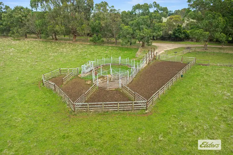 Fifth view of Homely rural property listing, 105 Holmes Road, Mardan VIC 3953