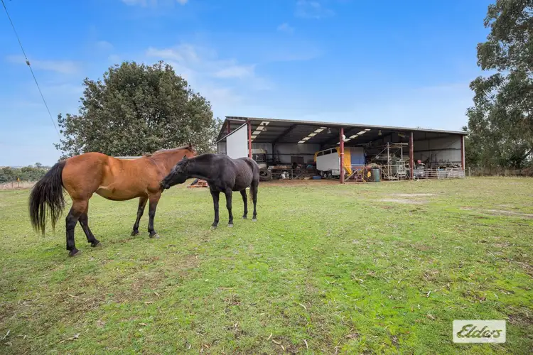 Sixth view of Homely rural property listing, 105 Holmes Road, Mardan VIC 3953