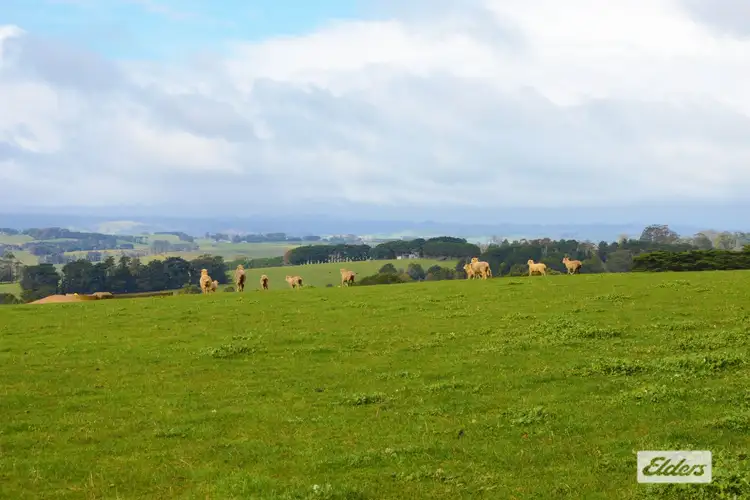 Sixth view of Homely rural property listing, 100A Holmes Road, Mardan VIC 3953
