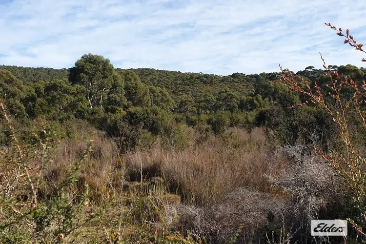 Lot 1 Hines Road, Whitemark TAS 7255