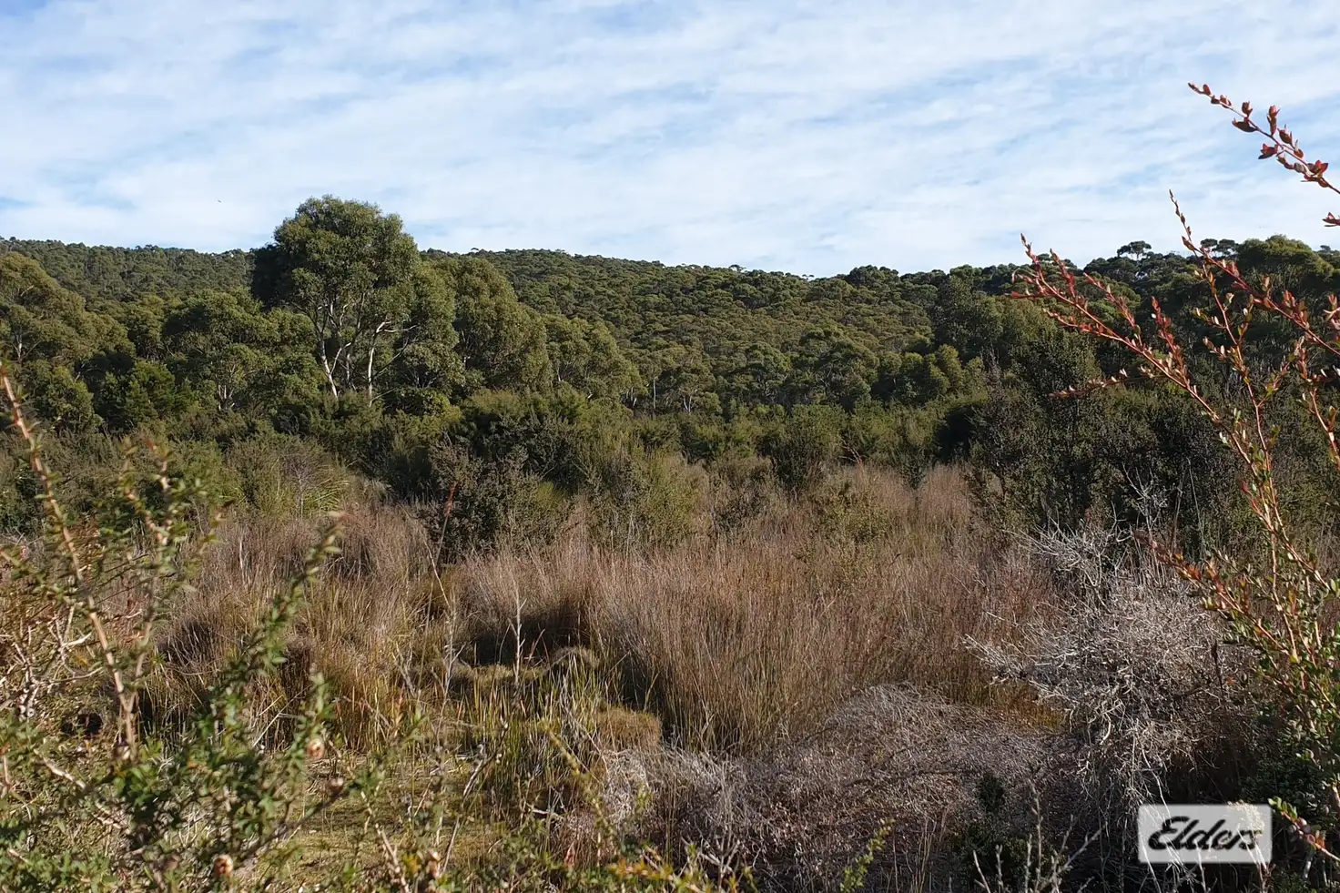 Main view of Homely rural property listing, Lot 1 Hines Road, Whitemark TAS 7255