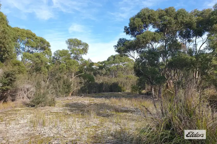 Third view of Homely rural property listing, Lot 1 Hines Road, Whitemark TAS 7255