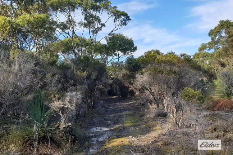 Fourth view of Homely rural property listing, Lot 1 Hines Road, Whitemark TAS 7255