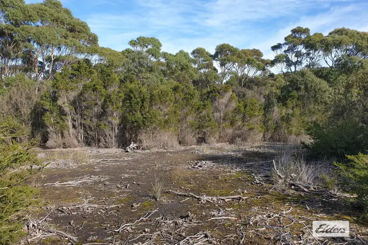 Sixth view of Homely rural property listing, Lot 1 Hines Road, Whitemark TAS 7255