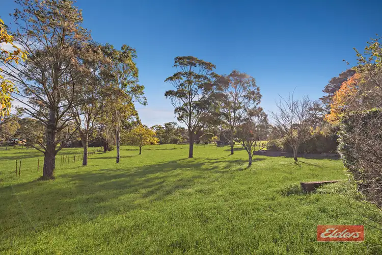 Fourth view of Homely rural property listing, 15 Denmead Street, Thirlmere NSW 2572