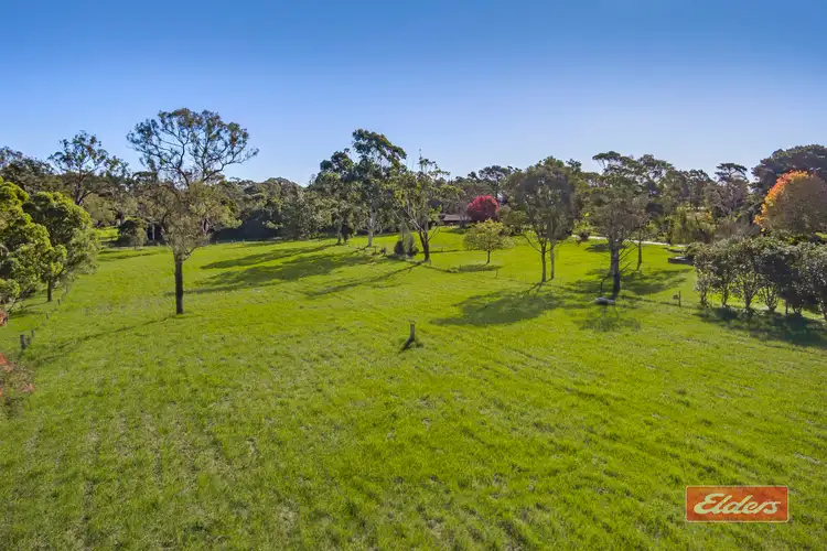 Fifth view of Homely rural property listing, 15 Denmead Street, Thirlmere NSW 2572