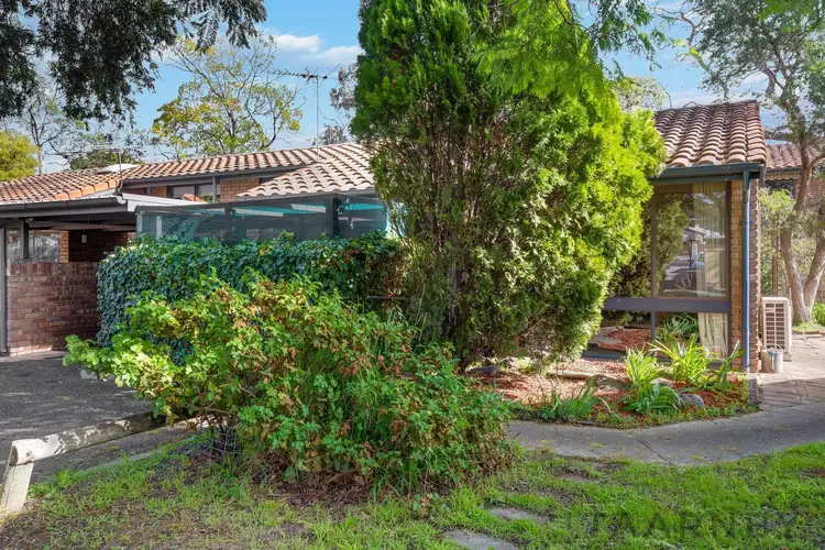 Second view of Homely unit listing, 7/303 Portrush Road, Norwood SA 5067