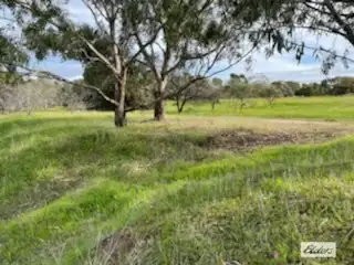 Third view of Homely rural property listing, Lot 165 Quairading - York Road, Kauring WA 6302