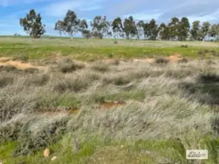 Fourth view of Homely rural property listing, Lot 165 Quairading - York Road, Kauring WA 6302
