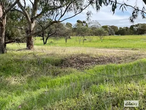 Seventh view of Homely rural property listing, Lot 165 Quairading - York Road, Kauring WA 6302