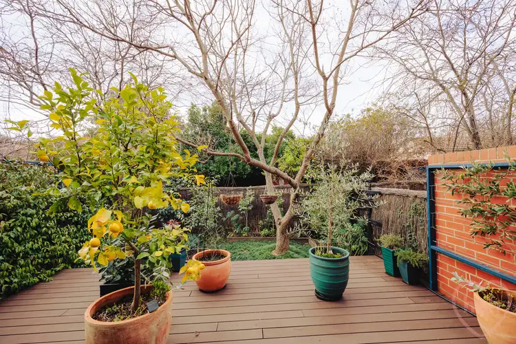Fifth view of Homely townhouse listing, 3/59 Torrens Street, Braddon ACT 2612