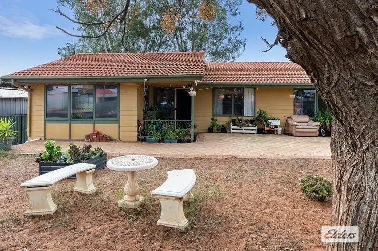Main view of Homely house listing, 12 Bahnisch Avenue, Berri SA 5343