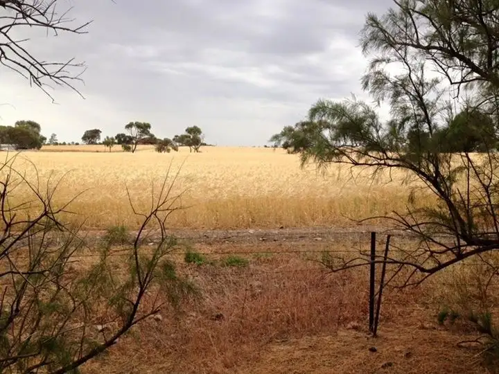 Third view of Homely rural property listing, Sec 191 Hd Yadnarie, Cleve SA 5640