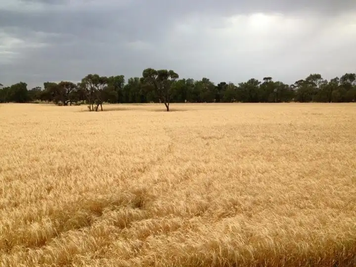 Fourth view of Homely rural property listing, Sec 191 Hd Yadnarie, Cleve SA 5640