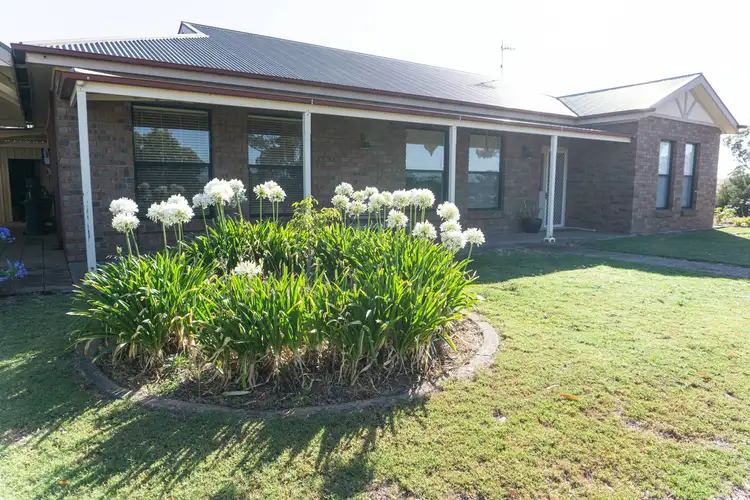 Third view of Homely house listing, 118 Cleve Road, Cleve SA 5640