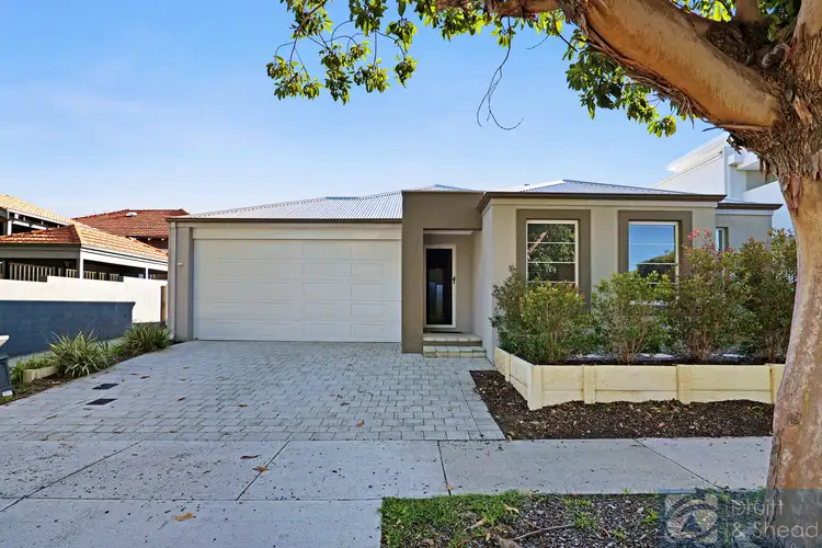 Main view of Homely house listing, 171 Ravenscar Street, Doubleview WA 6018