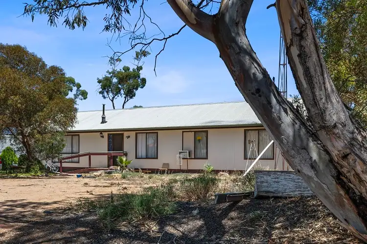 Fourth view of Homely house listing, 5 Federal Street, Morgan SA 5320