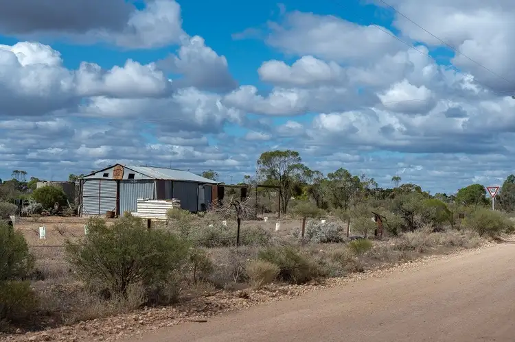 Fifth view of Homely rural property listing, Lot 4 Centennary Road, Morgan SA 5320