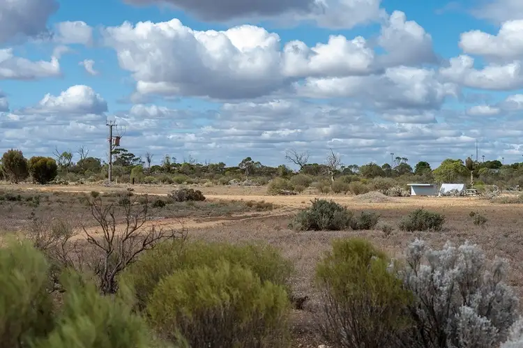 Seventh view of Homely rural property listing, Lot 4 Centennary Road, Morgan SA 5320