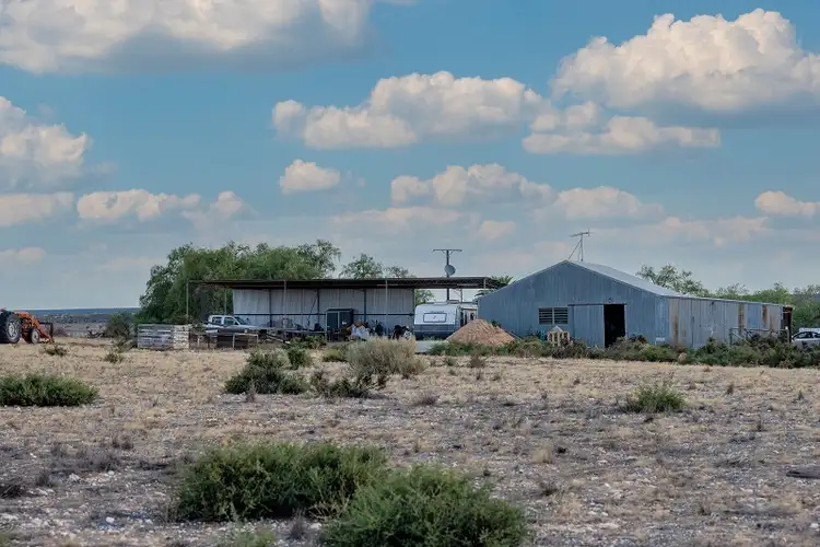 Third view of Homely rural property listing, Lot 1 Noll Road, Blanchetown SA 5357