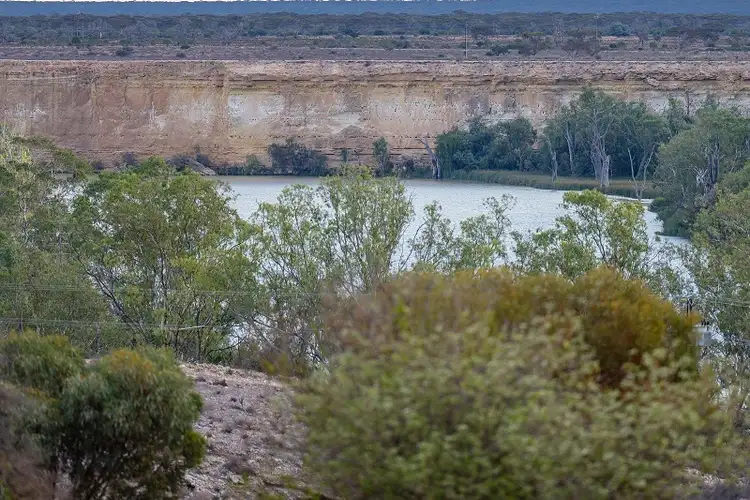 Sixth view of Homely rural property listing, Lot 1 Noll Road, Blanchetown SA 5357
