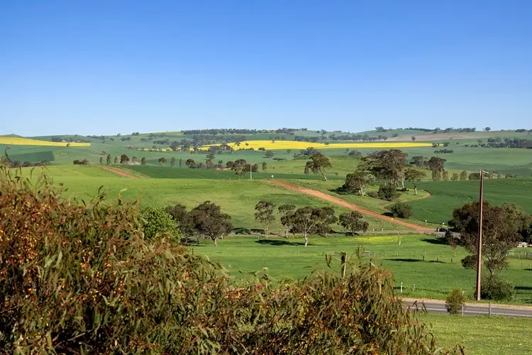 Third view of Homely house listing, 10 Amelia Street, Kapunda SA 5373