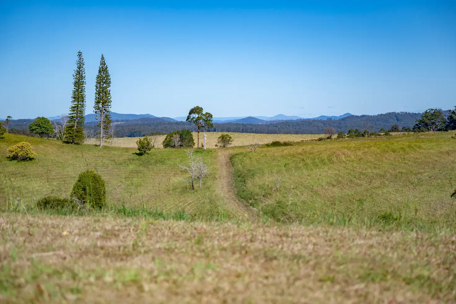 Main view of Homely land listing, 255 Newee Creek Road, Newee Creek NSW 2447