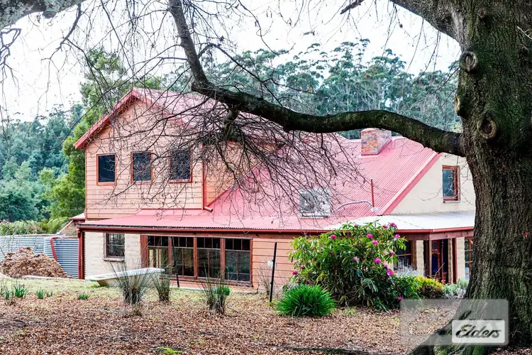Second view of Homely house listing, 239 North Lilydale Road, North Lilydale TAS 7268