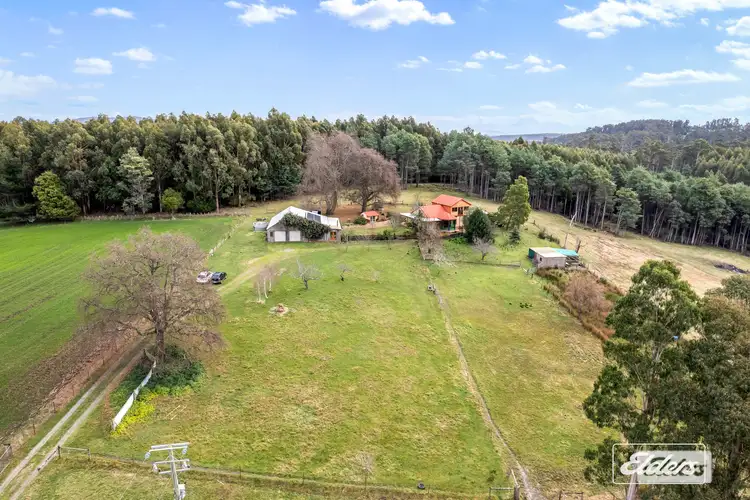 Sixth view of Homely house listing, 239 North Lilydale Road, North Lilydale TAS 7268