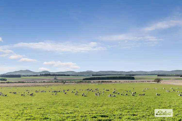 Lots 2 & 3 Ballarat-Carngham Road, Carngham VIC 3351