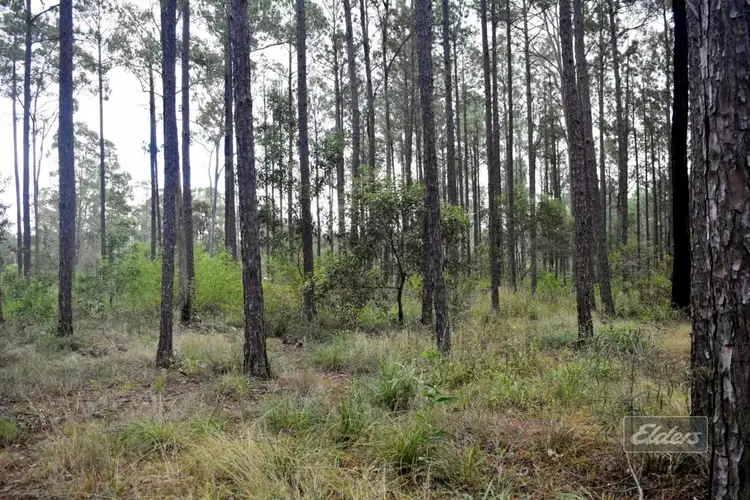 Lot 811 Arborthirtyone Road, Glenwood QLD 4570