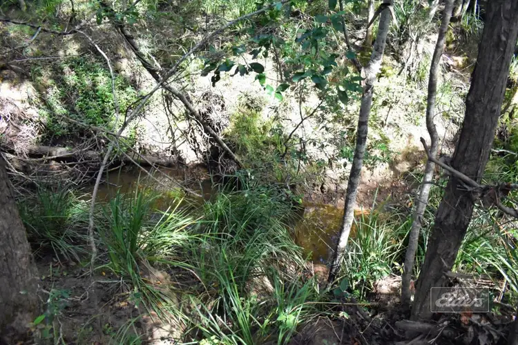 Main view of Homely land listing, Lot 500 Arborcrescent Road, Glenwood QLD 4570