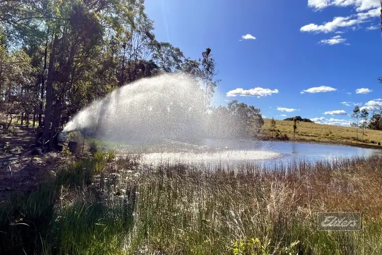 Fourth view of Homely rural property listing, 199 Forestry Road, Bauple QLD 4650